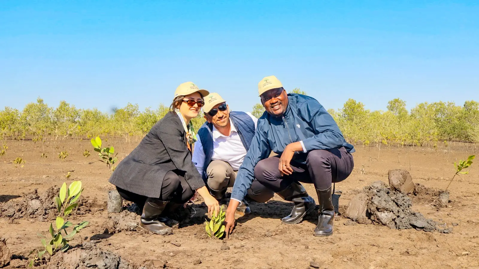 CMM PLANTA SETE MIL MUDAS DE MANGAL EM KATEMBE 